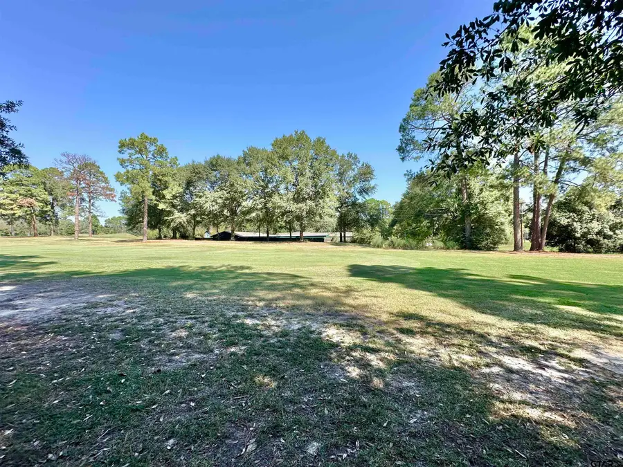 TBD Holly Trail, Holly Lake Ranch, TX 75765 - #2