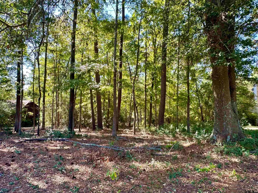 TBD Holly Trail, Holly Lake Ranch, TX 75765 - #3