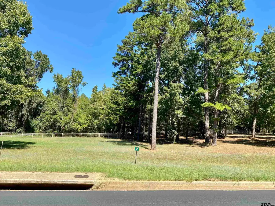 Lot 18 Easy St, Frankston, TX 75763 - Image #3