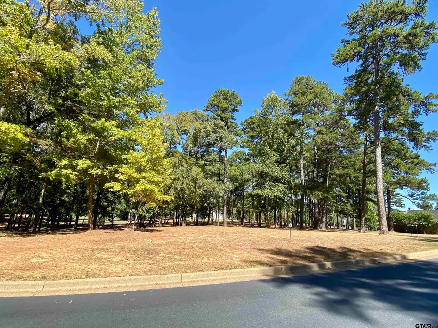 Lot 22 Leisure Ln, Frankston, TX 75763 - Image #3