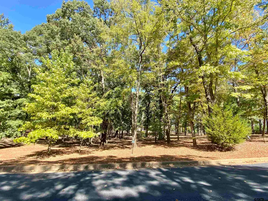 Lot 23 Leisure Ln, Frankston, TX 75763 - Image #3