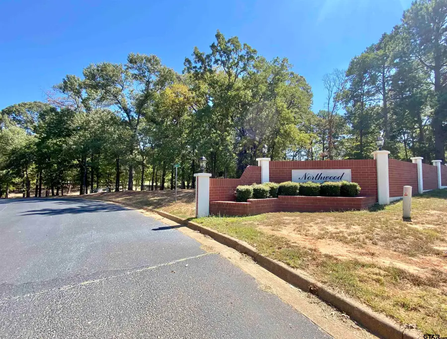 Lot 28 Leisure Ln, Frankston, TX 75763 - Image #2