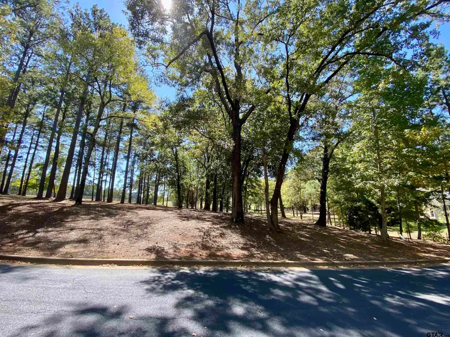 Lot 28 Leisure Ln, Frankston, TX 75763 - Image #3