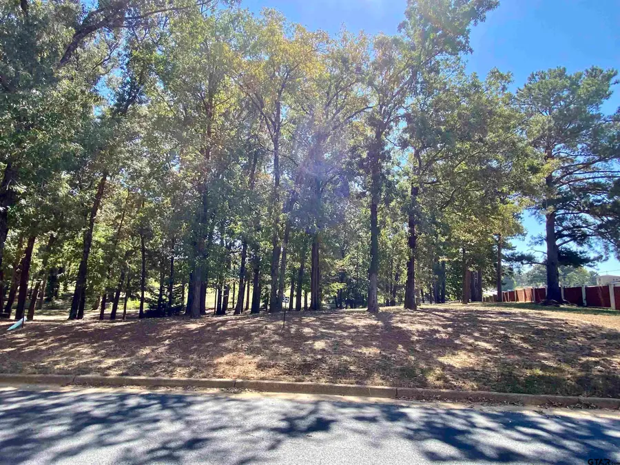 Lot 3 Easy St, Frankston, TX 75763 - #3