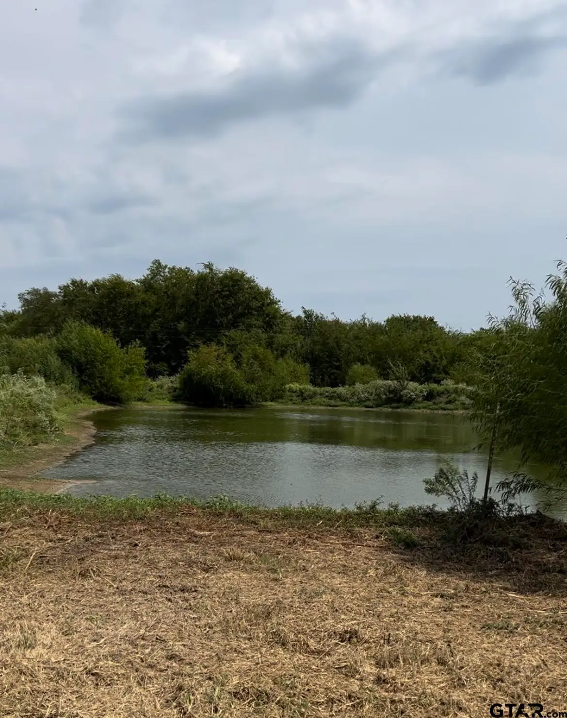 Lot 6 County Road 3374, Emory, TX 75440 - Image #1