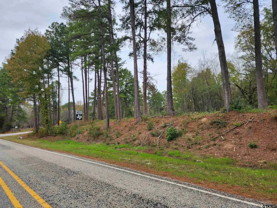 LOT 1 - TBD NE Cr 363, Winona, TX 75792 - #2