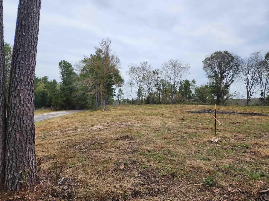 LOT 1 - TBD NE Cr 363, Winona, TX 75792 - #3