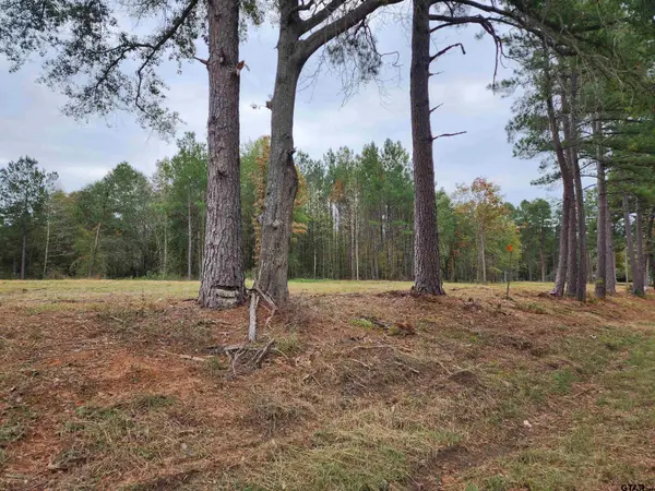LOT 3 - TBD NE Cr 363, Winona,  75792