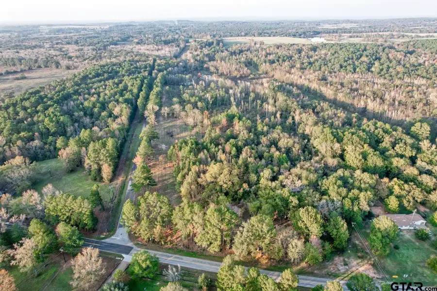 LOT 3 - TBD NE Cr 363, Winona, TX 75792 - #2