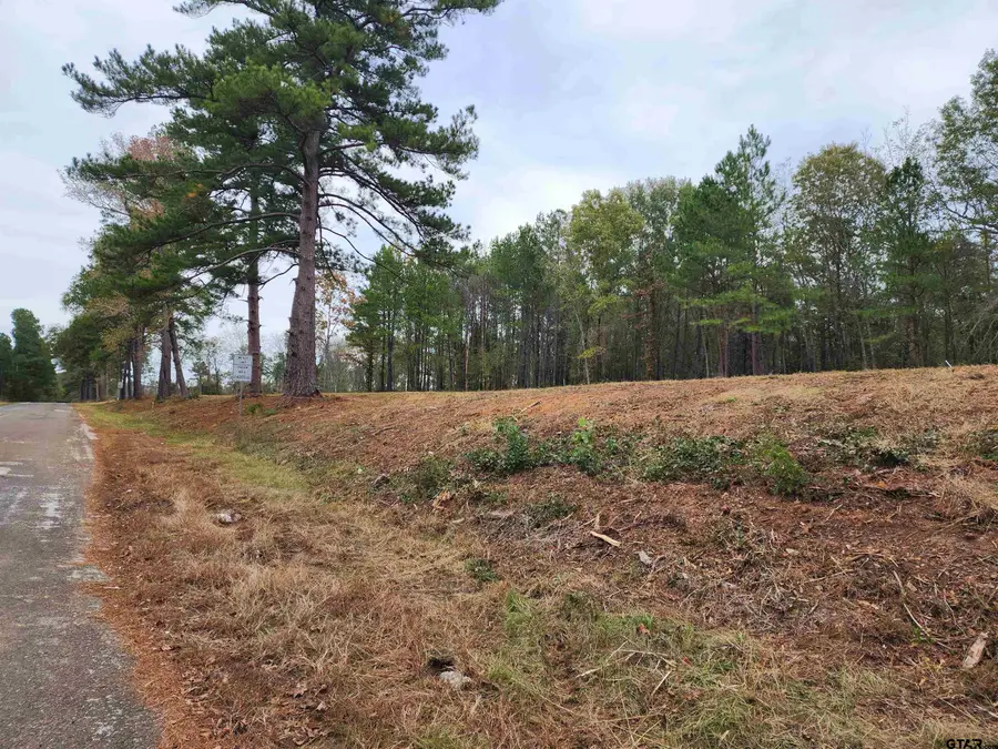 LOT 3 - TBD NE Cr 363, Winona, TX 75792 - #3