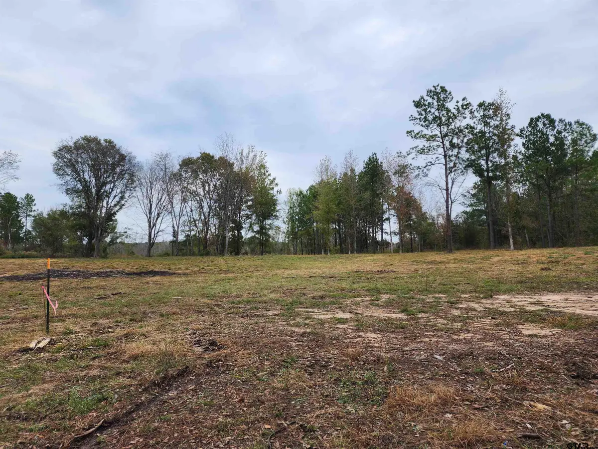 LOT 5 - TBD NE Cr 363, Winona, TX 75792 - #1