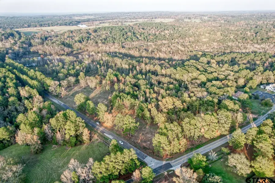 LOT 5 - TBD NE Cr 363, Winona, TX 75792 - #3