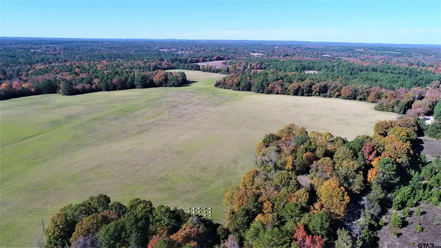 TBD ACR 179, Elkhart, TX 75839 - Image #2