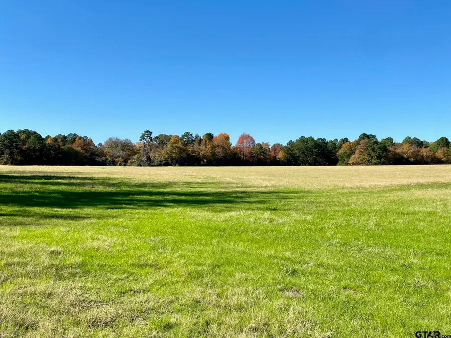 TBD ACR 179, Elkhart, TX 75839 - Image #3