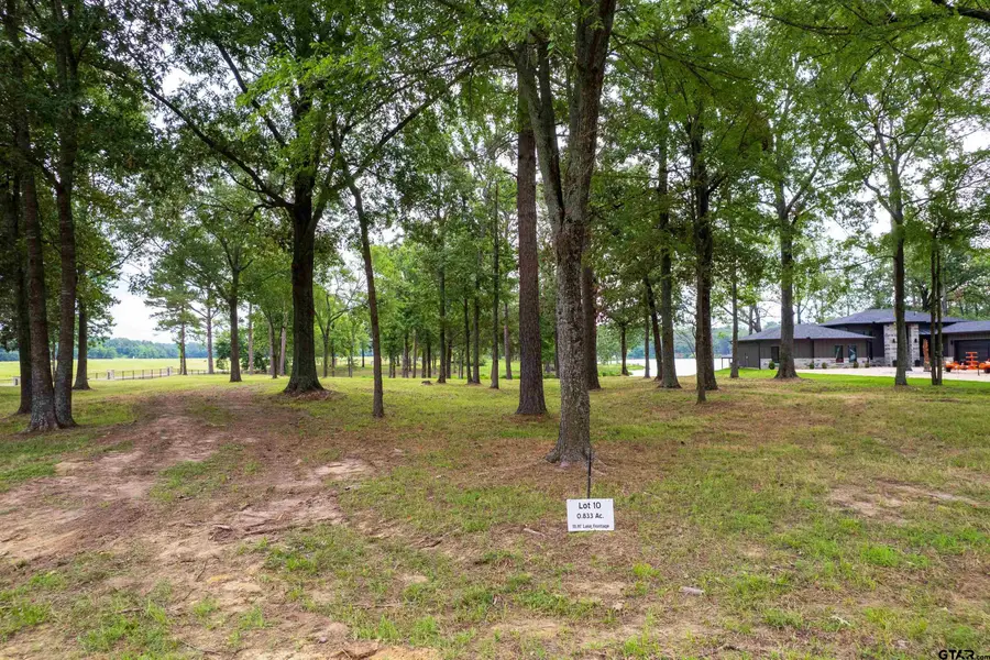 Lot 10 Eagle's Nest Circle, Mount Vernon, TX 75457 - #2