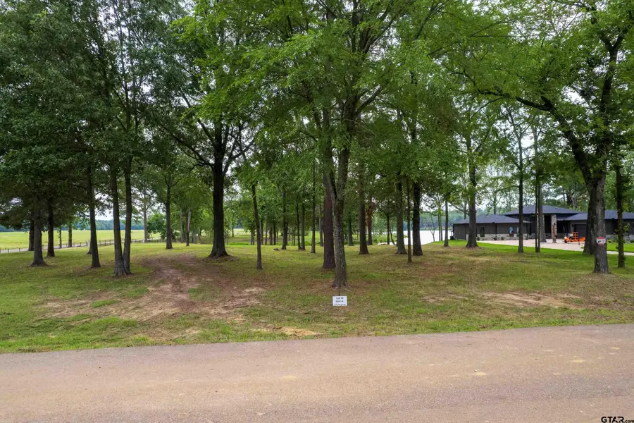 Lot 10 Eagle's Nest Circle, Mount Vernon, TX 75457 - #3