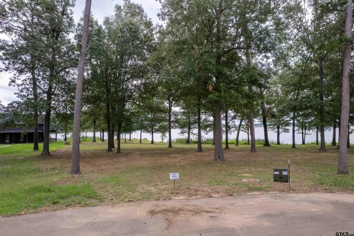 Lot 6 Eagle's Nest Circle, Mount Vernon, TX 75457 - #1
