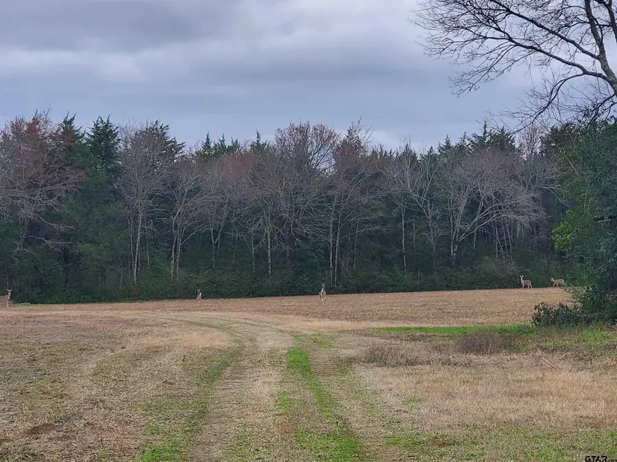 TBD Willow St., Jacksonville, TX 75766 - Image #2