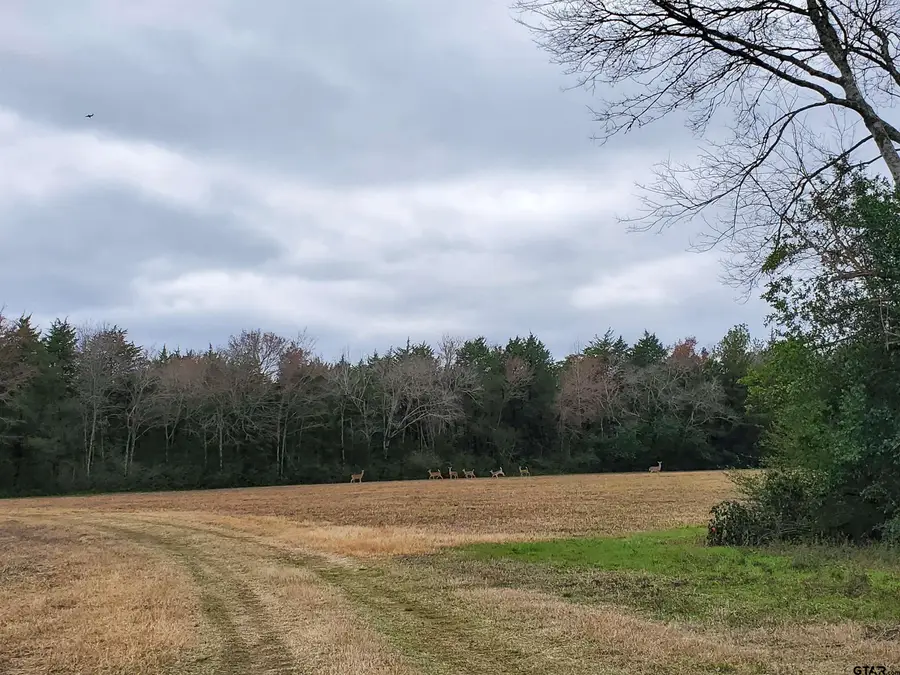 TBD Willow St., Jacksonville, TX 75766 - Image #3