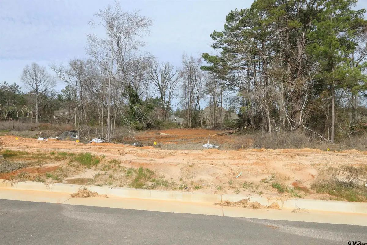 14248 Aliyah Court, Tyler, TX 75703 - Image #1