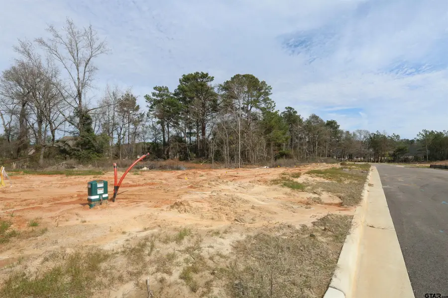 14248 Aliyah Court, Tyler, TX 75703 - Image #2