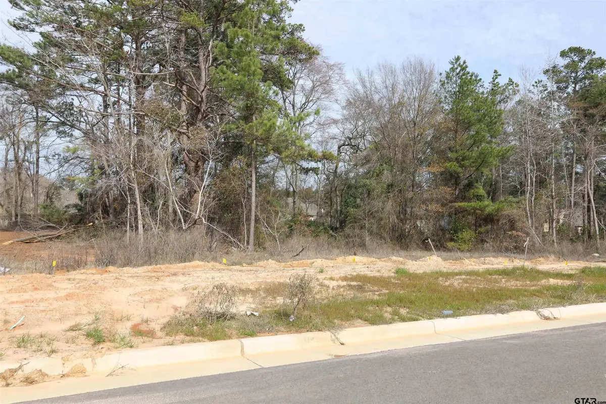 14220 Aliyah Court, Tyler, TX 75703 - Image #1