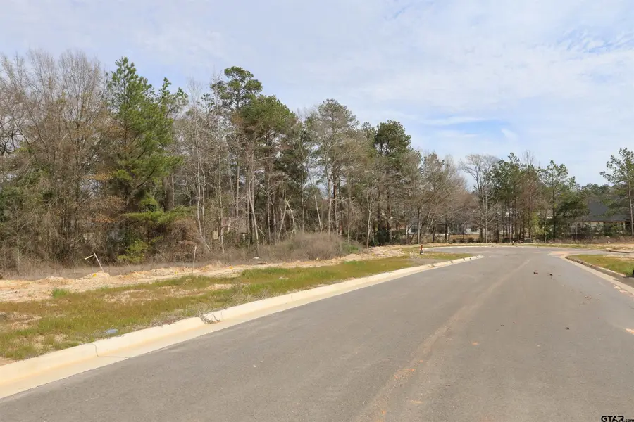 14220 Aliyah Court, Tyler, TX 75703 - Image #2