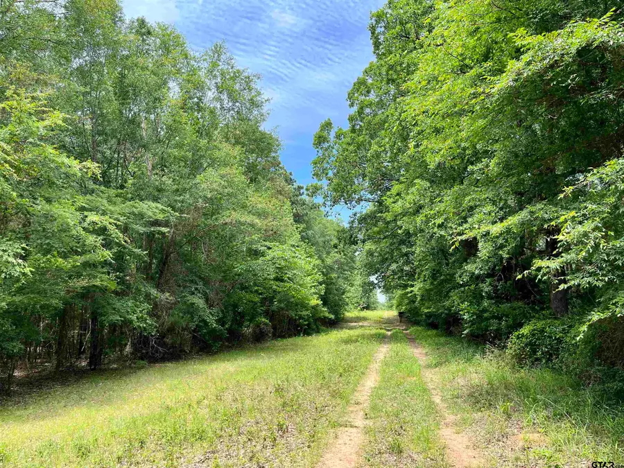 3825 FM 2064N, Troup, TX 75789 - Image #3