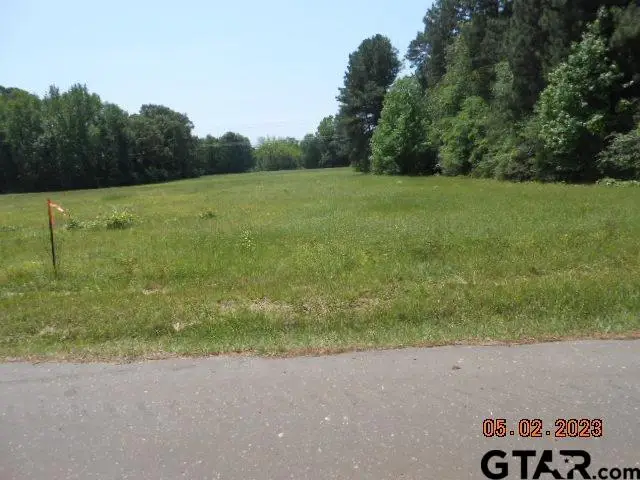 Lot 1 & 2 9.4ac CR 216 & CR 217, Henderson, TX 75652 - Image #2