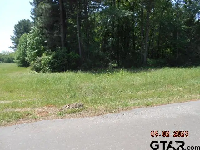 Lot 1 & 2 9.4ac CR 216 & CR 217, Henderson, TX 75652 - Image #3