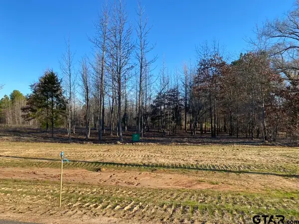 16737 Ridgeline Loop, Winona, TX 75792