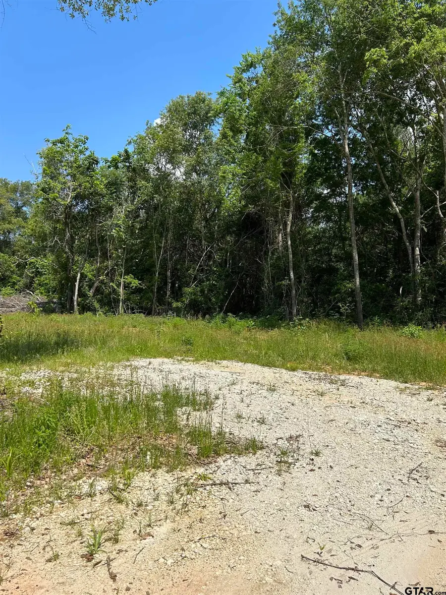 642 Loop 343, Rusk, TX 75785 - Image #2