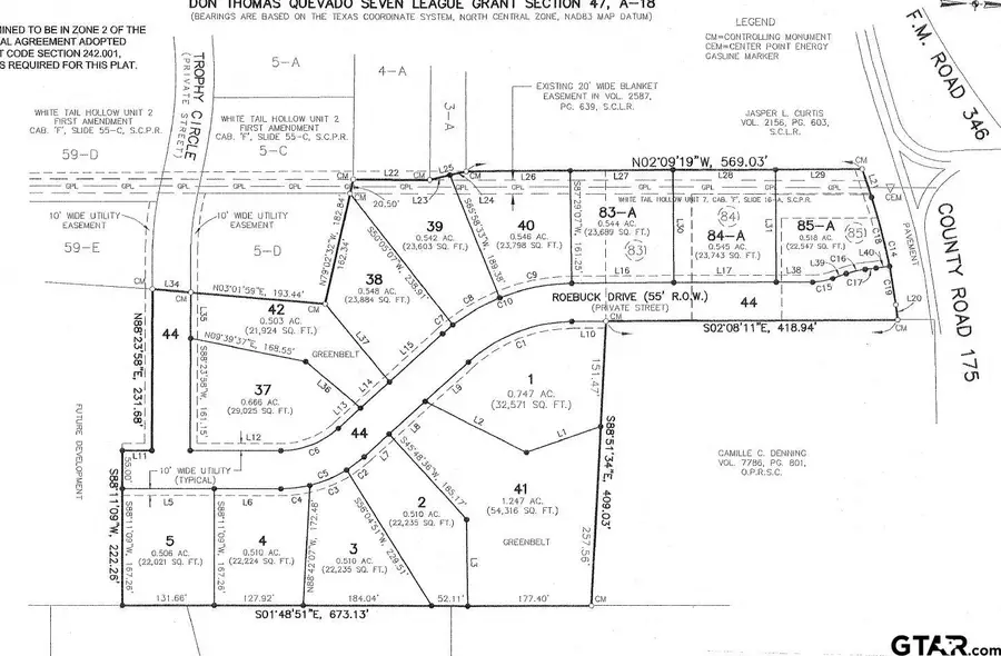 20206 Roebuck Drive, Bullard, TX 75757 - #2