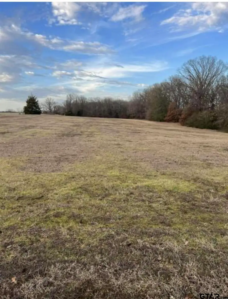4215 TBD County road, Mount Pleasant, TX 75455 - Image #2