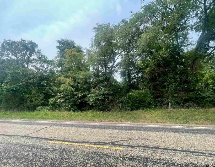 TBD FM 1519, Pittsburg, TX 75686 - #3