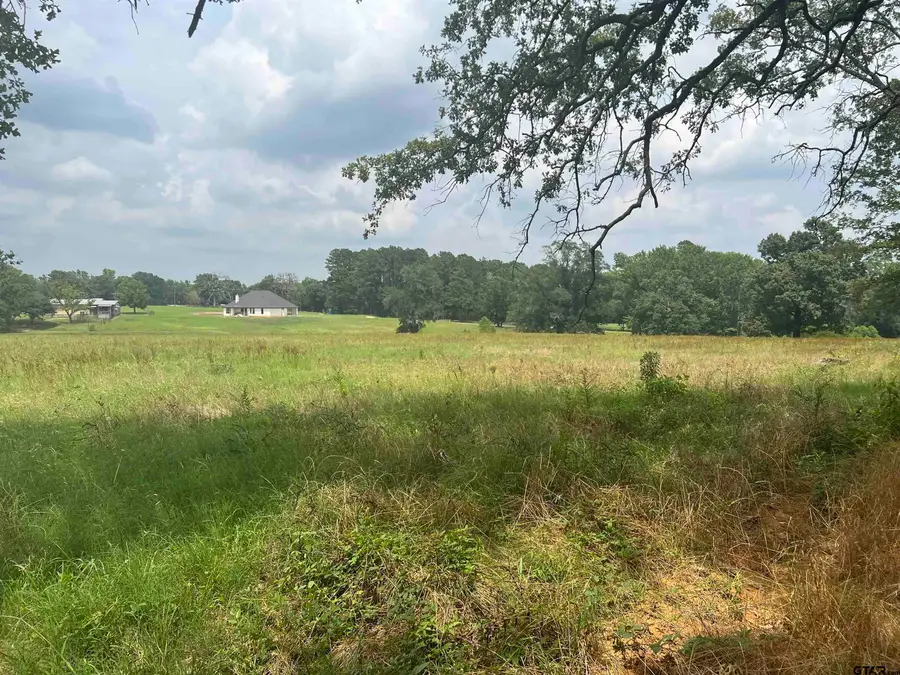 Lot 9 cr 3312, Chandler, TX 75758 - Image #3