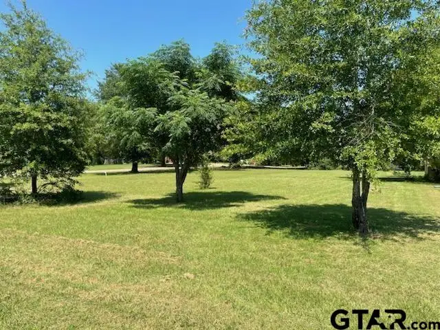 TBD Lot 22,23 & 24 ACR 308, Frankston, TX 75763 - Image #1