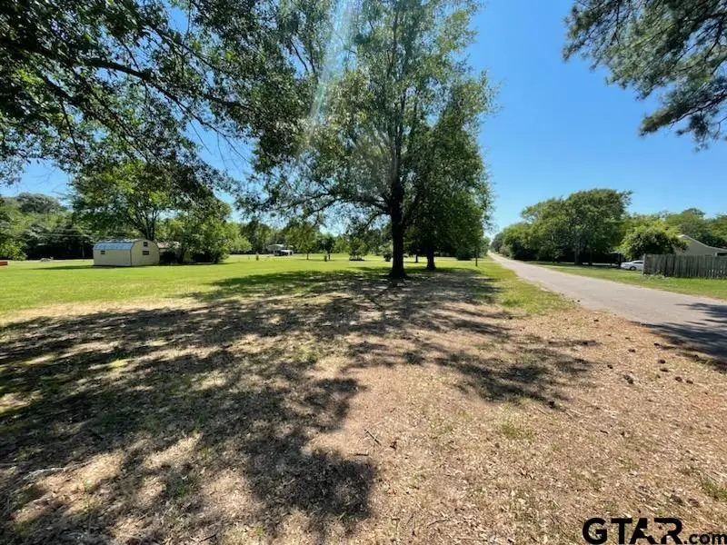 TBD Lot 22,23 & 24 ACR 308, Frankston, TX 75763 - Image #3