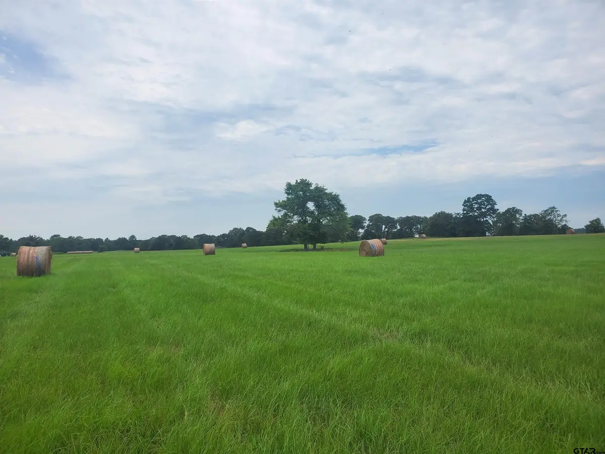 TBD CR 4221, Frankston, TX 75763 - Image #1