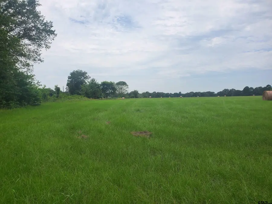 TBD CR 4221, Frankston, TX 75763 - Image #2