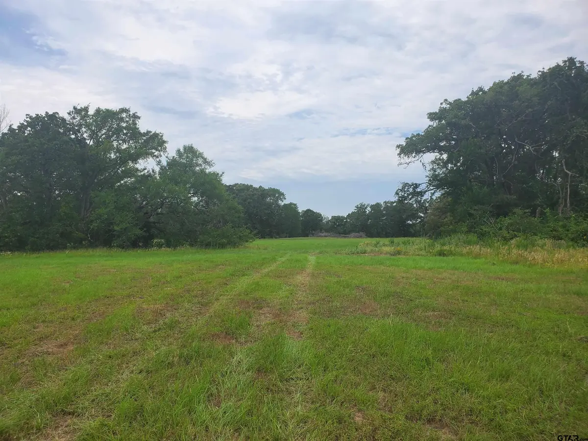 TBD CR 4221, Frankston, TX 75763 - Image #1