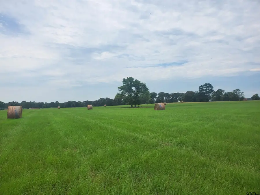 TBD CR 4221, Frankston, TX 75763 - Image #2