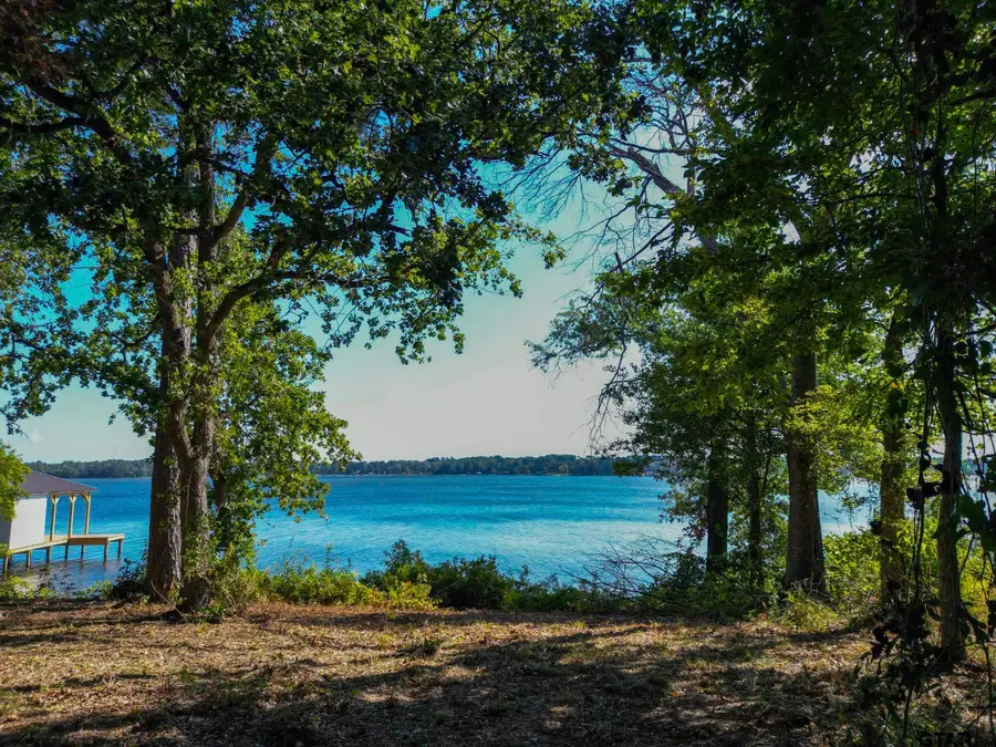 3146 Shadow Pine Dr., Larue, TX 75770 - Image #2