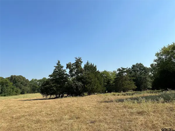 87 Acres FM 269, Pickton, TX 75471