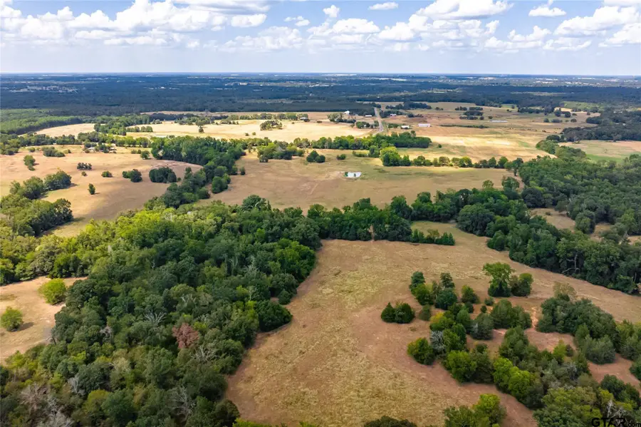 87 Acres FM 269, Pickton, TX 75471 - Image #3