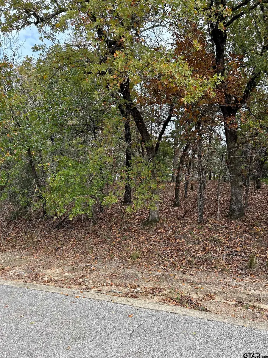 TBD Pedernales, Athens, TX 75752 - Image #2