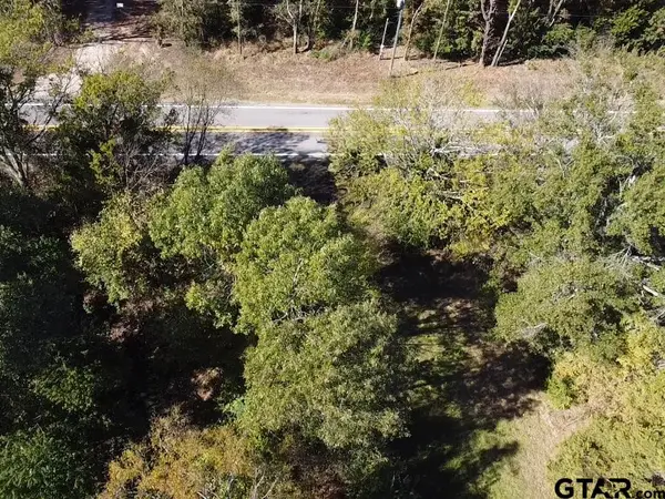 TBD FM 1799, Alba, TX 75410