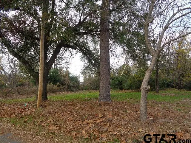 817 Carver, Winnsboro, TX 75494 - Image #1