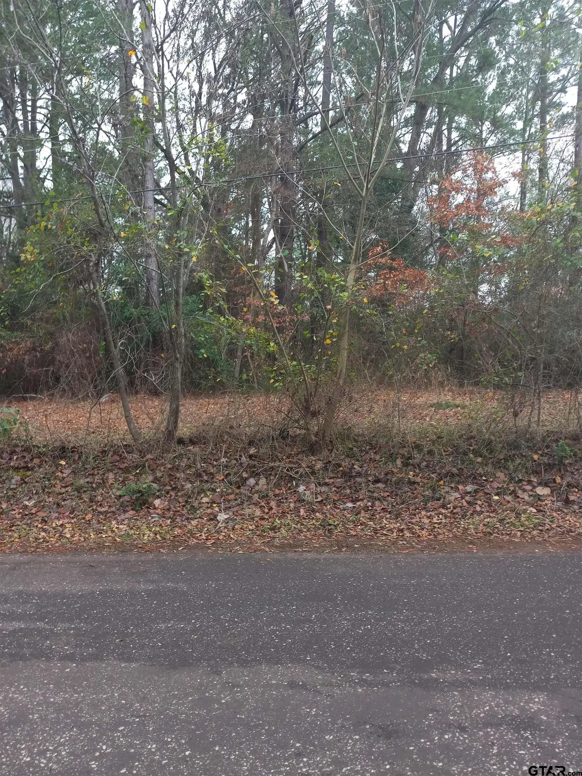 424 CR 3112, Jacksonville, TX 75766 - Image #1