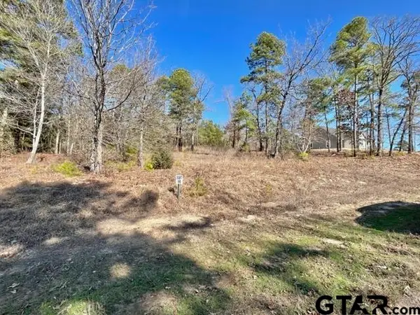LOT 10 CR 3545, Hawkins, TX 75765